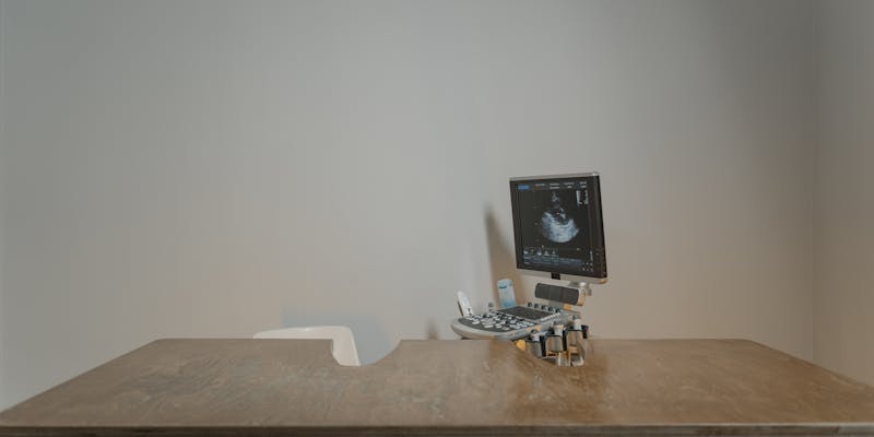 Cost of Pet Dental Care Explained