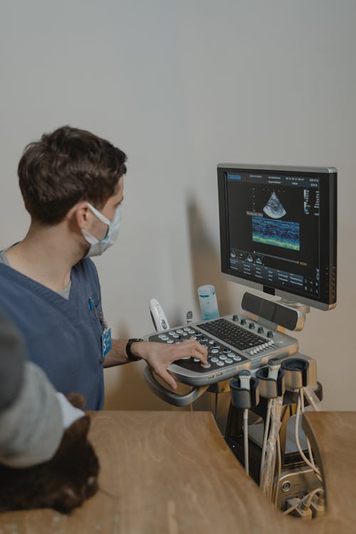 Medical Professional using an Ultrasound 