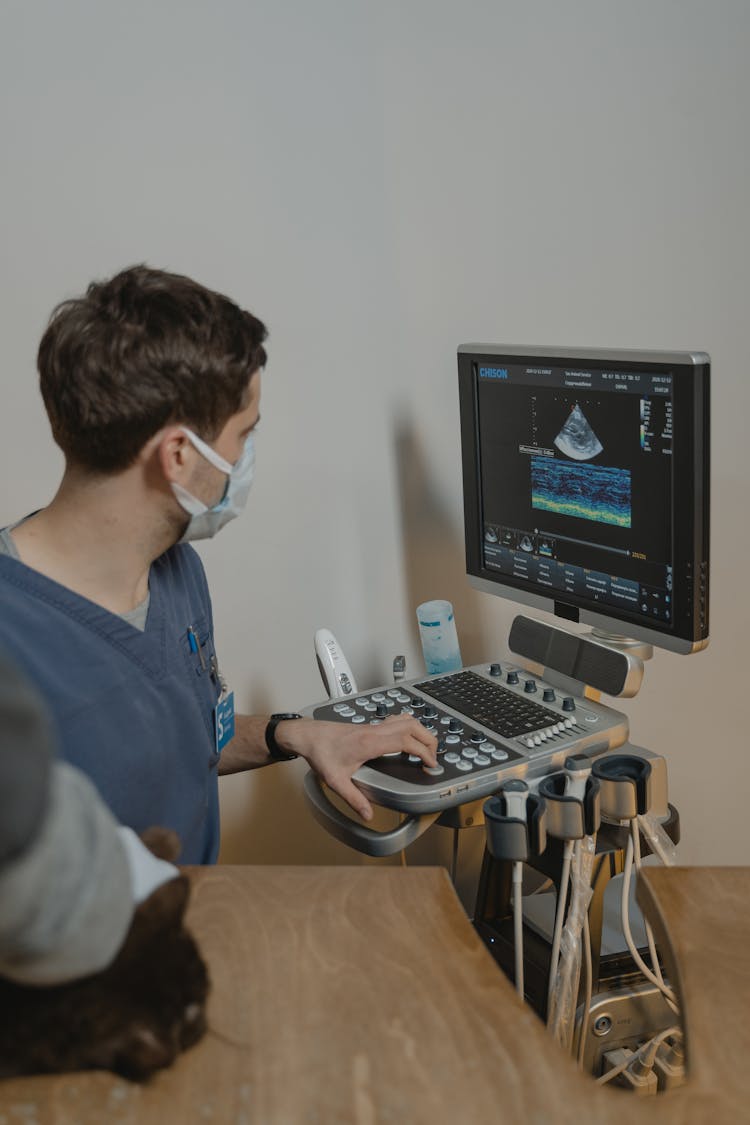 Medical Professional Using An Ultrasound 