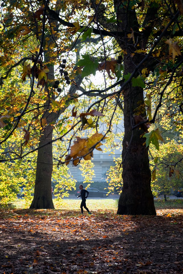 Man Jogging In Park