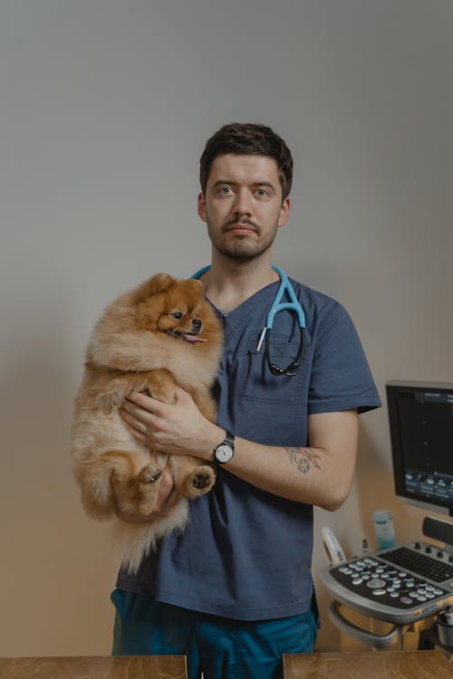 A Veterinarian Carrying a Dog 