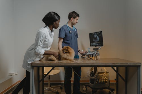 Free Man and Woman Looking at an Ultrasound Machine Stock Photo