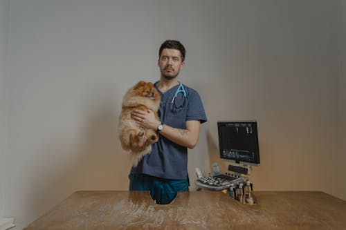 Man in Blue Scrub Suit Holding a Dog