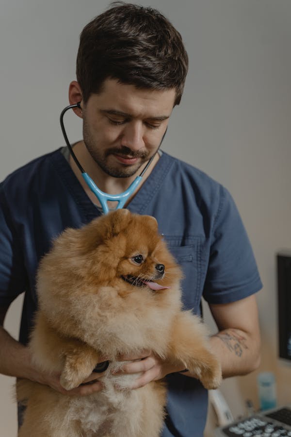 Cachorro feliz em consulta veterinária