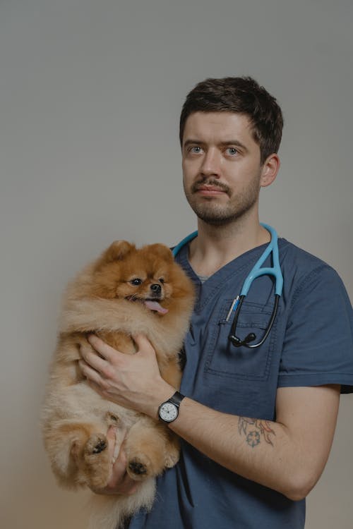Free Person with Stethoscope Around His Neck Holding a Dog Stock Photo