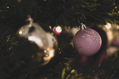 Ingyenes stockfotó boke, karácsonyi bálok, Karácsonyi dekoráció témában