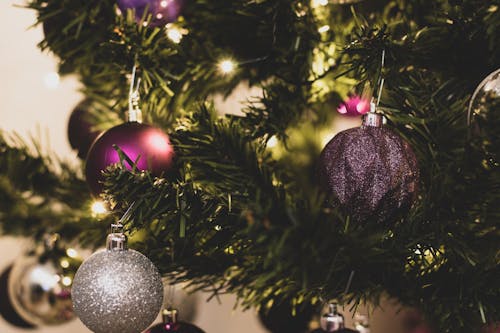 Ingyenes stockfotó Karácsony, karácsonyfa, karácsonyi bál témában