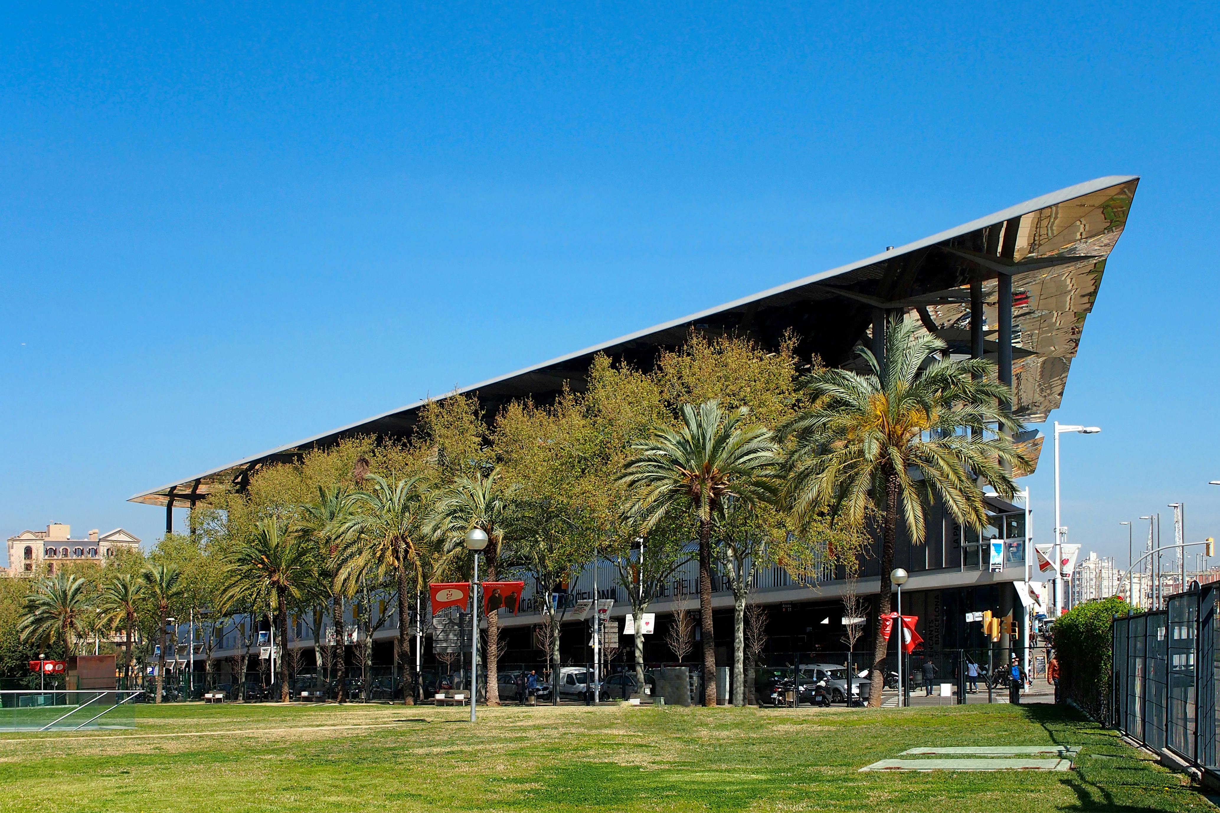 palm trees along mercat dels encants