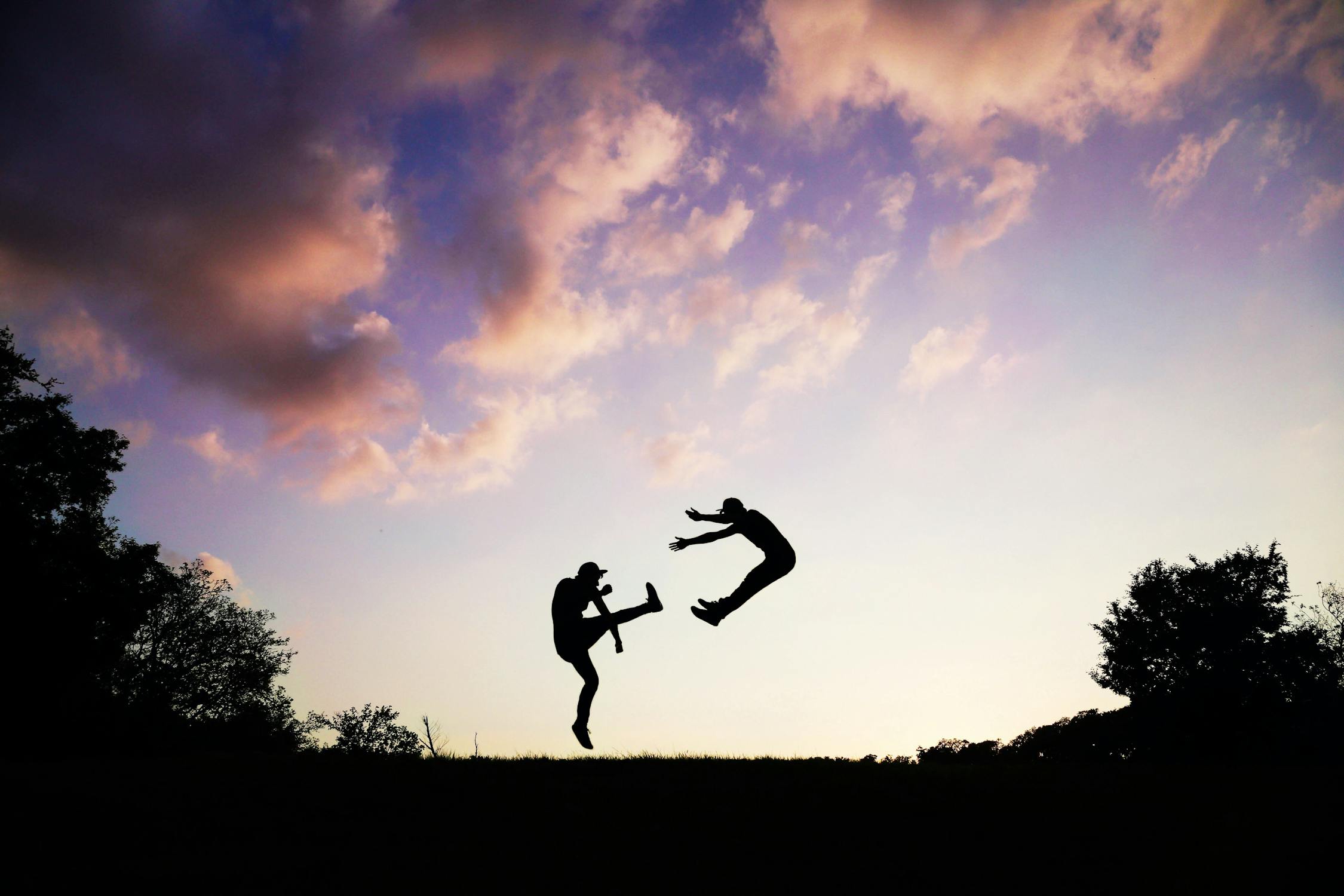 Martial Arts by Photo by Snapwire from Pexels: https://www.pexels.com/photo/2-people-doing-karate-during-sunset-62376/