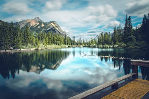 Green Trees Near Lake Under Cloudy Sky