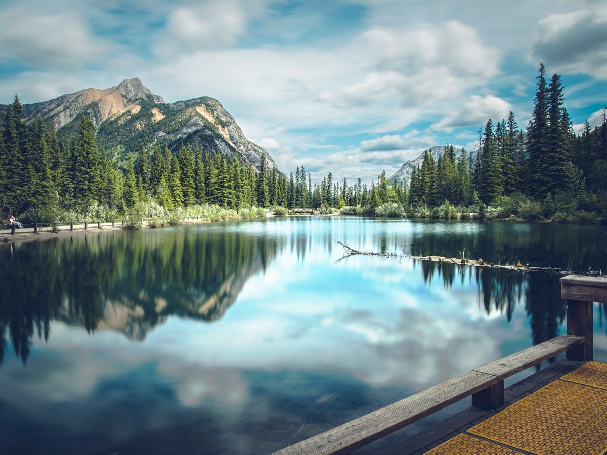 3 Day Psilocybin Deep Self-Exploration & Shadow Work in Canada 2