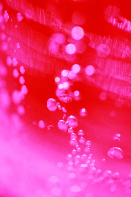 Close-up of dynamic bubbles in a vibrant pink liquid, creating an abstract and fizzy effect.