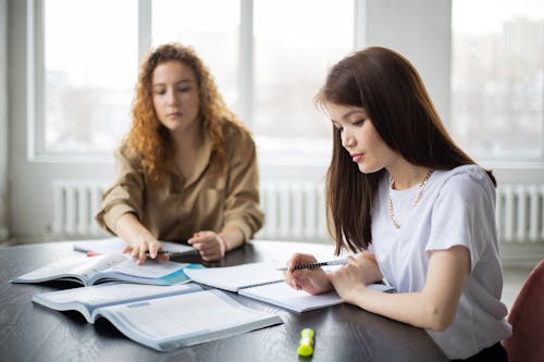 Free Focused diverse women studying together Stock Photo