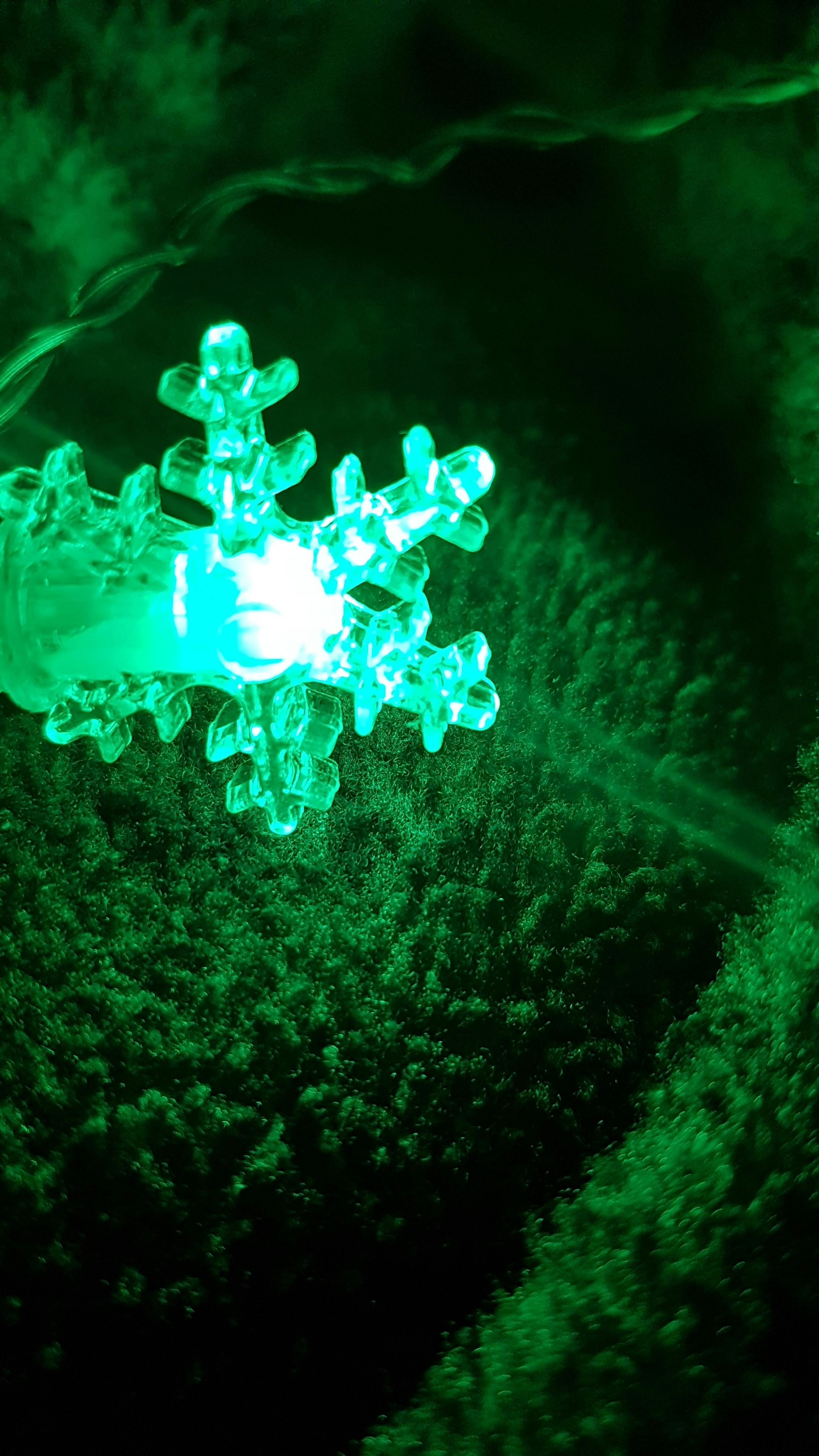 Hand hält ein Blatt mit dem Wort 'Eco'