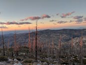 Leafless Trees on a Mountain
