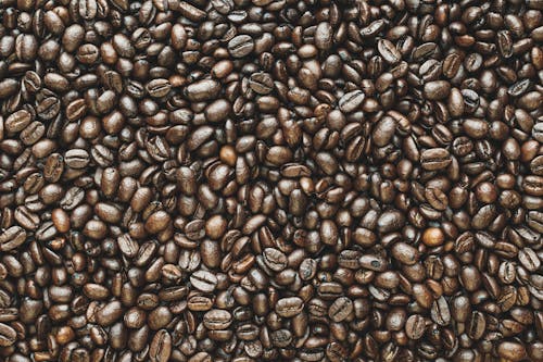 Free Close-Up Photography of Coffee Beans  Stock Photo