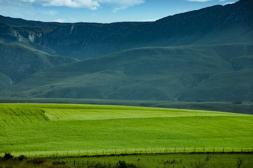 Free stock photo of blue mountains, field, hillside