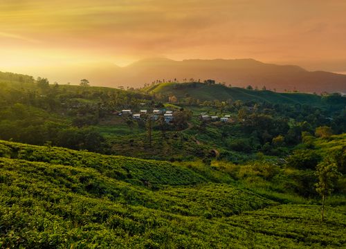 Free stock photo of tea state Stock Photo