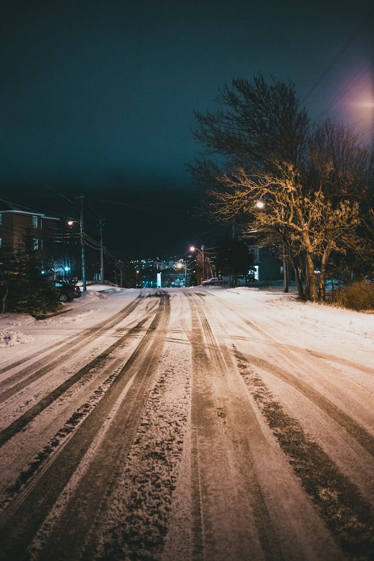 Snowy Road And Leafless Tree In Night Town