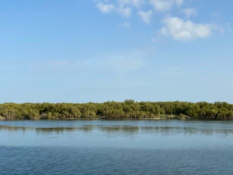 Calm lake reflecting lush green forest under a clear blue sky, perfect for nature enthusiasts.