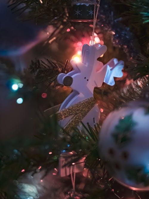 Foto profissional grátis de árvore, árvore de Natal, de madeira
