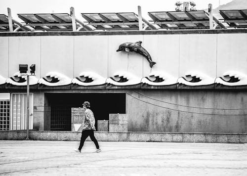 Foto d'estoc gratuïta de blanc i negre, caminant, carrer lateral