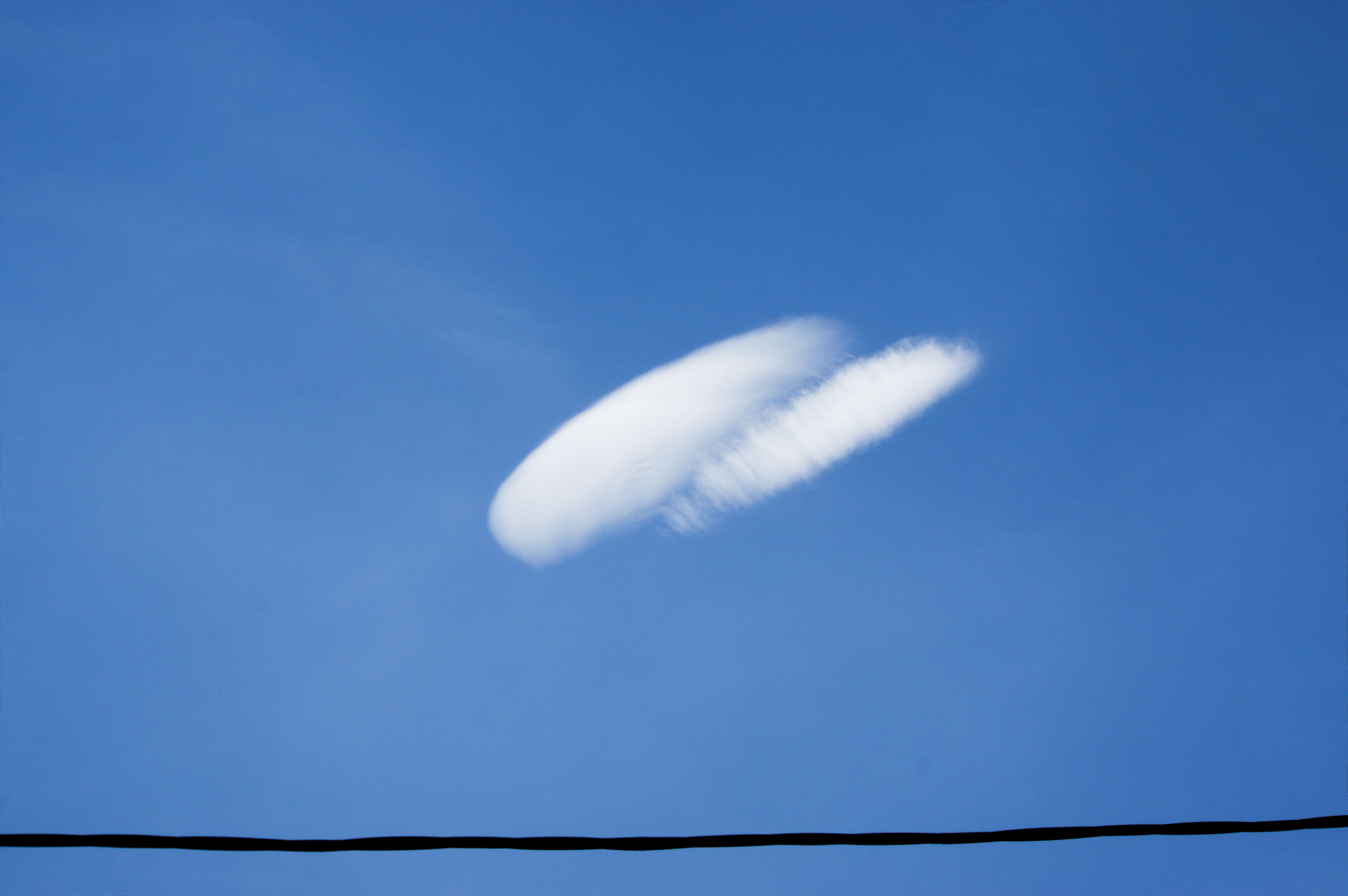 Plankton-linked vapors could speed cloud seed formation over cold oceans