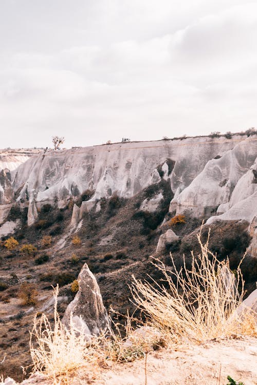 Dry grass growing near rocky formations in volcanic terrain against cloudy sky in Cappadocia