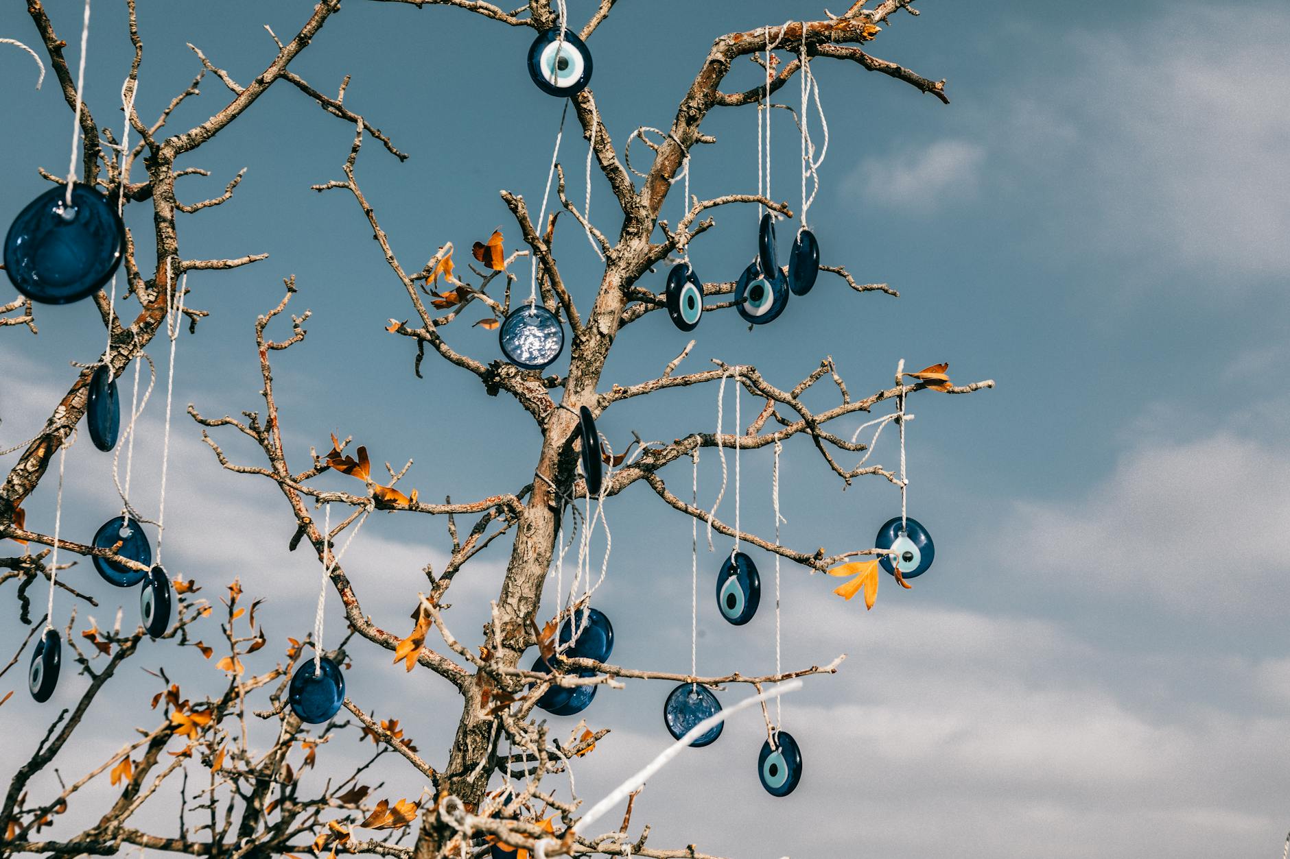 From below of traditional blue eye shaped nazar amulets protecting form evil eye hanging on leafless tree branches against cloudy blue sky in Cappadocia