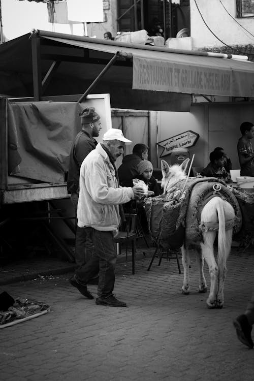 Grayscale Photo of a Man Standing Near a Donkey