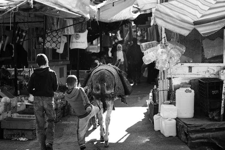 A Child Kicking A Donkey