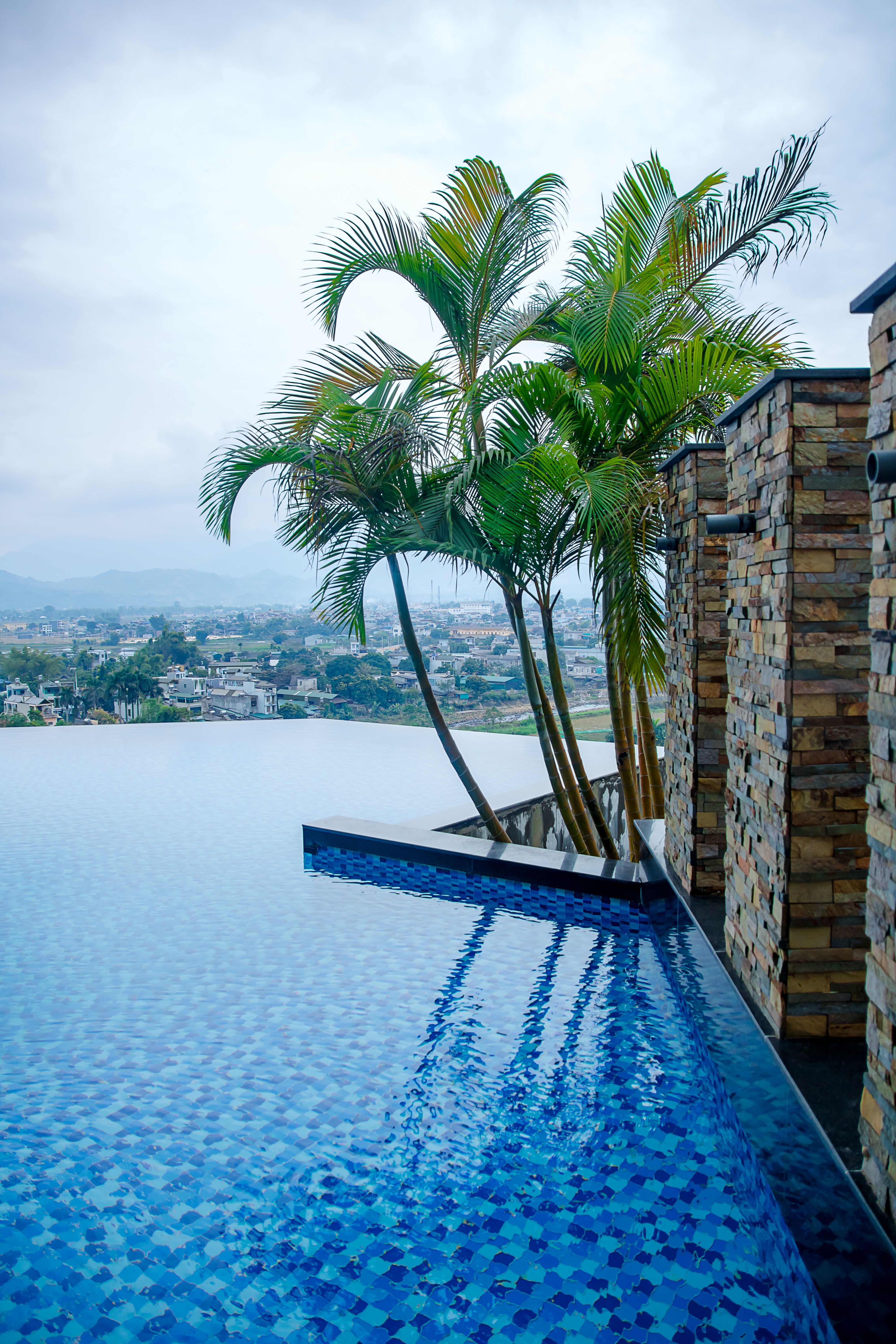 Photograph of Palm Trees Near a Swimming Pool · Free Stock Photo