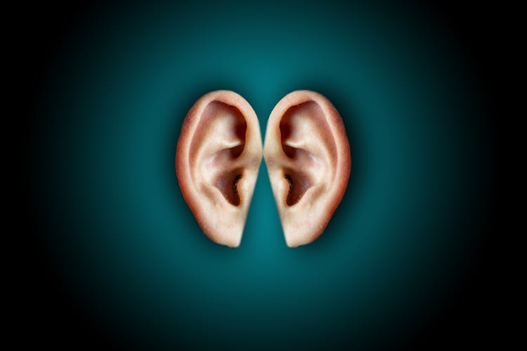 Creative Shot Of Human Ears On Dark Background