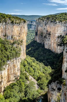 Breathtaking view of Foz de Arbayún canyon in Navarra, Spain, showcasing vibrant green foliage and dramatic cliffs.