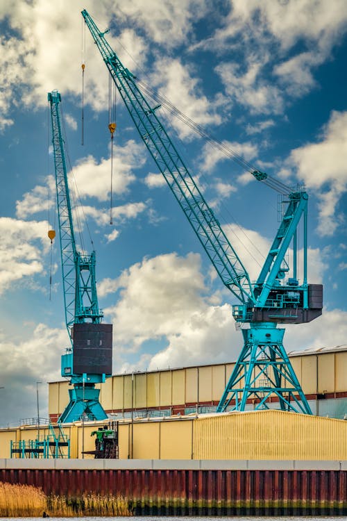 Photograph of Blue Cranes Under a Cloudy Sky