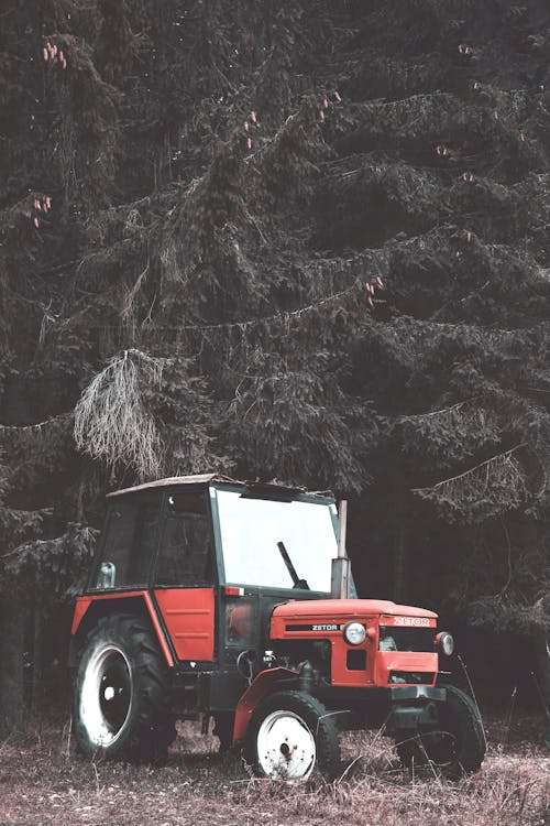 Free stock photo of classic vehicle, conifer, high tatras