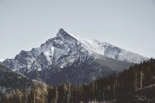 Kostnadsfria Kostnadsfri bild av berg, höga tatra, landskap Stock foto