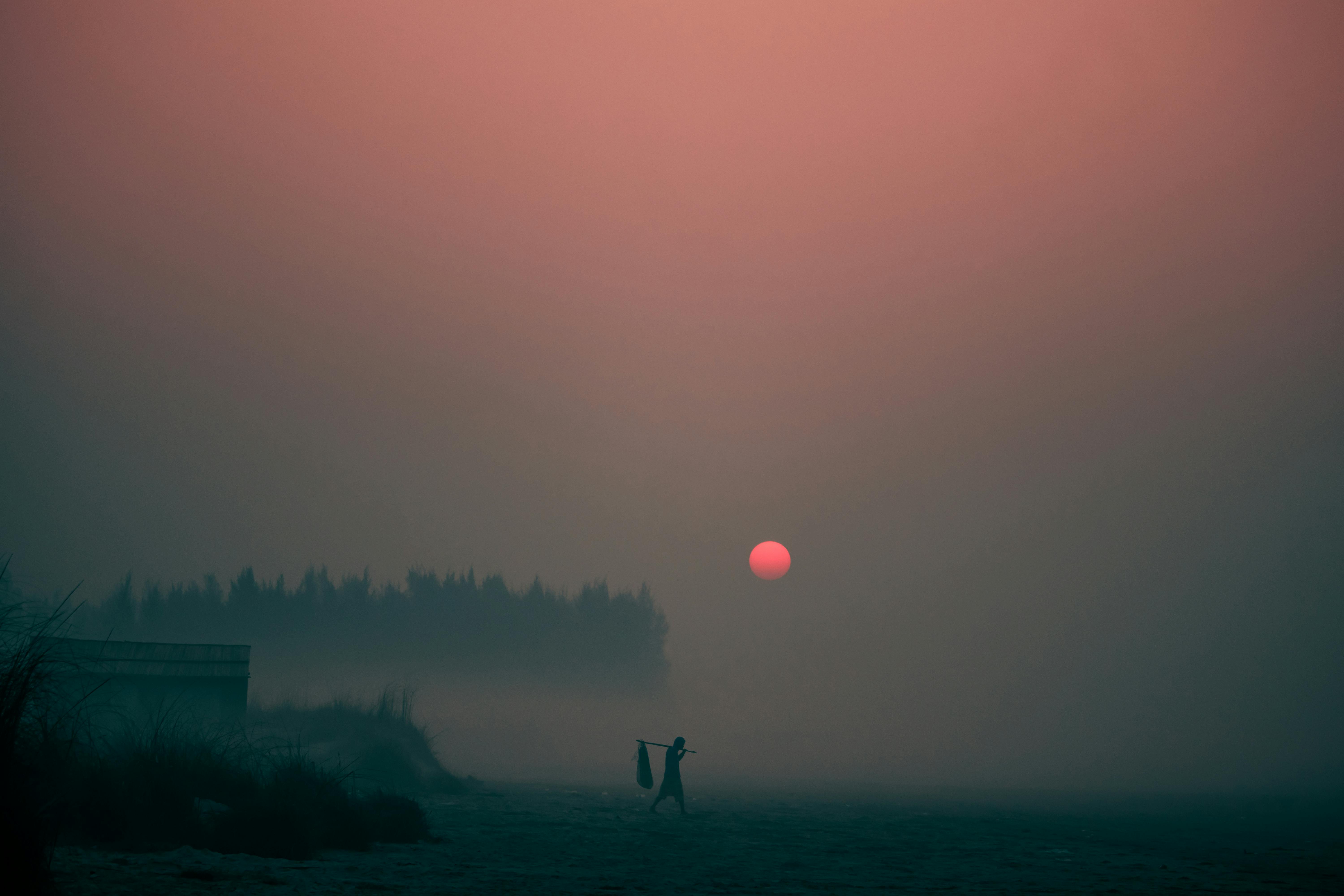 person walking on street during sunset