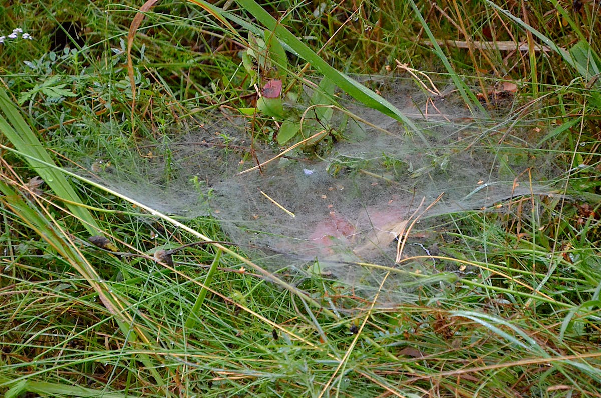Person preparing a balanced, healthy meal in a kitchen