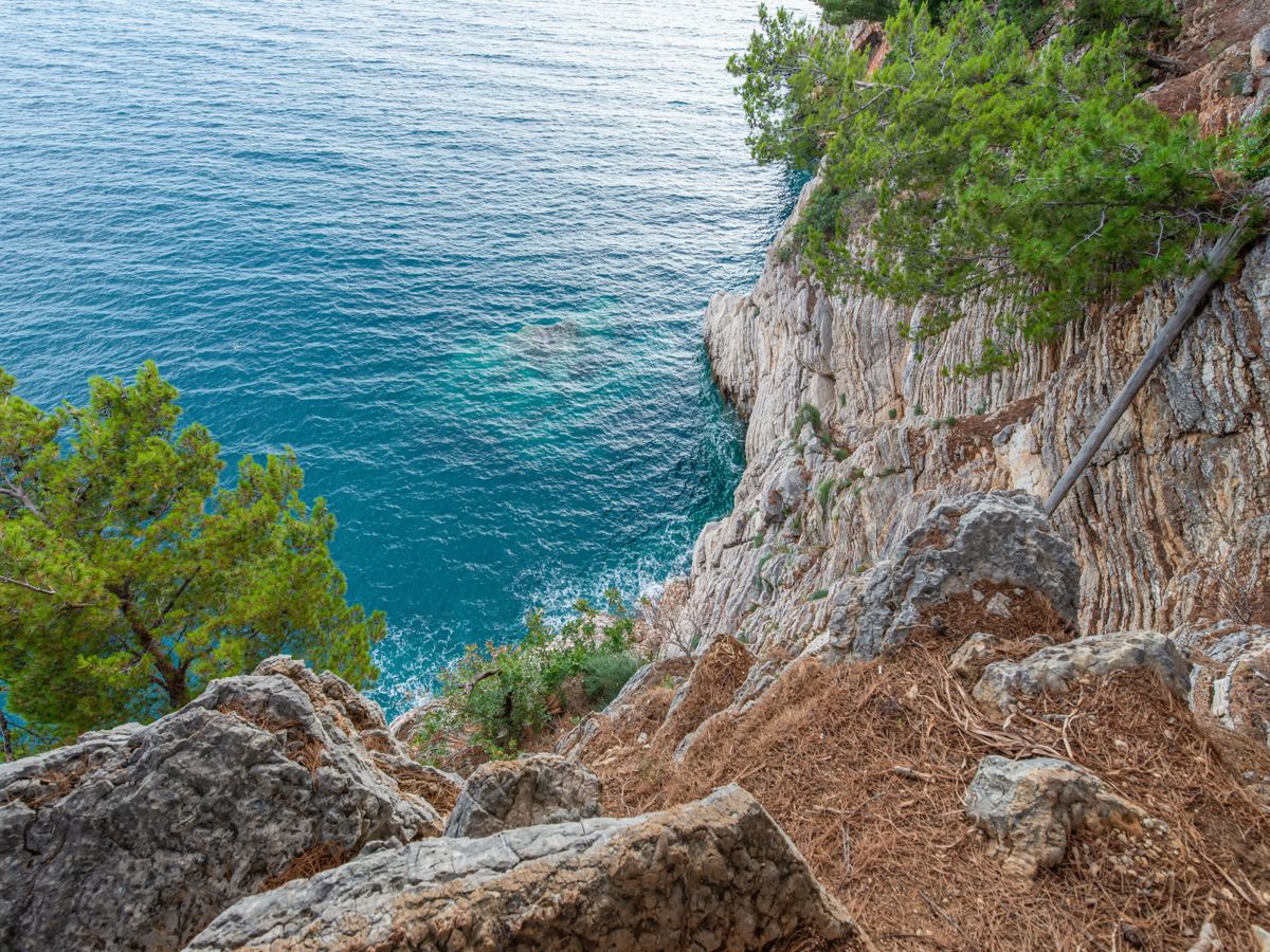 5 Day Pilates & Fitness Retreat in Brijuni National Park, Croatia 3