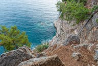 岩石海岸，绿树成荫，白天海水安静，波光粼粼