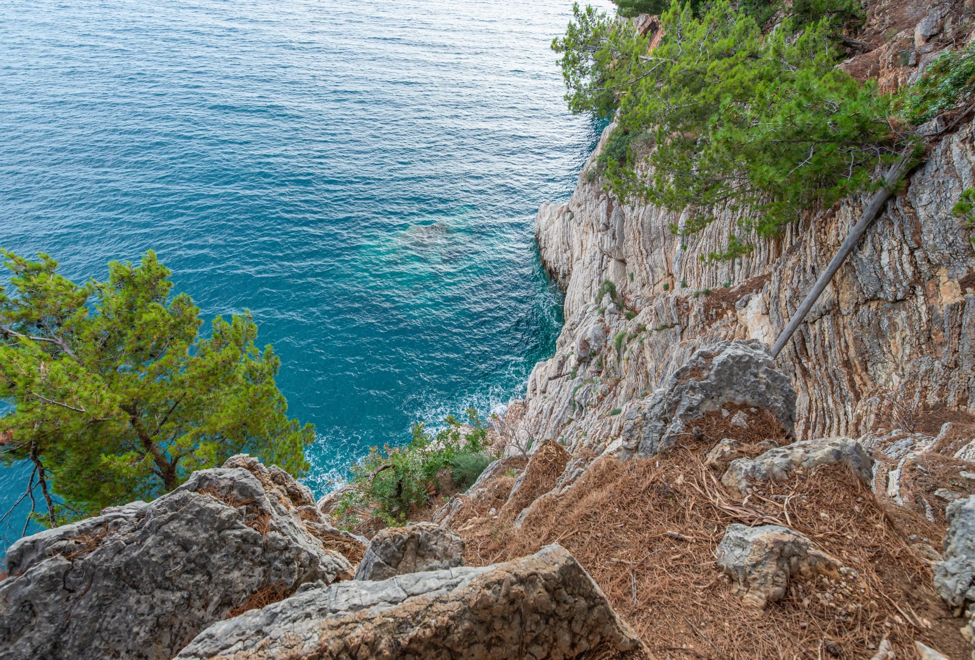 Rocky coast with green trees surrounded with quiet rippling water of ocean in daytime