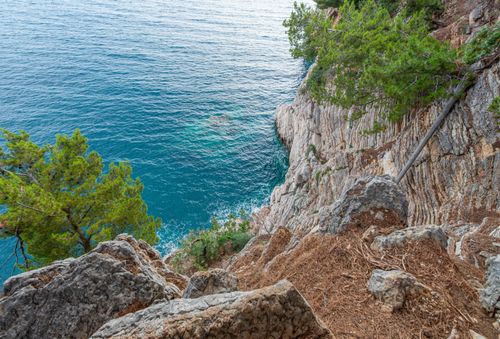 Free Rocky coast with green trees surrounded with quiet rippling water of ocean in daytime Stock Photo
