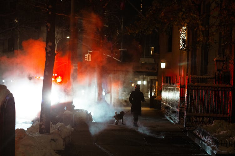 Unrecognizable Person With Dog On Walkway In Night City Street