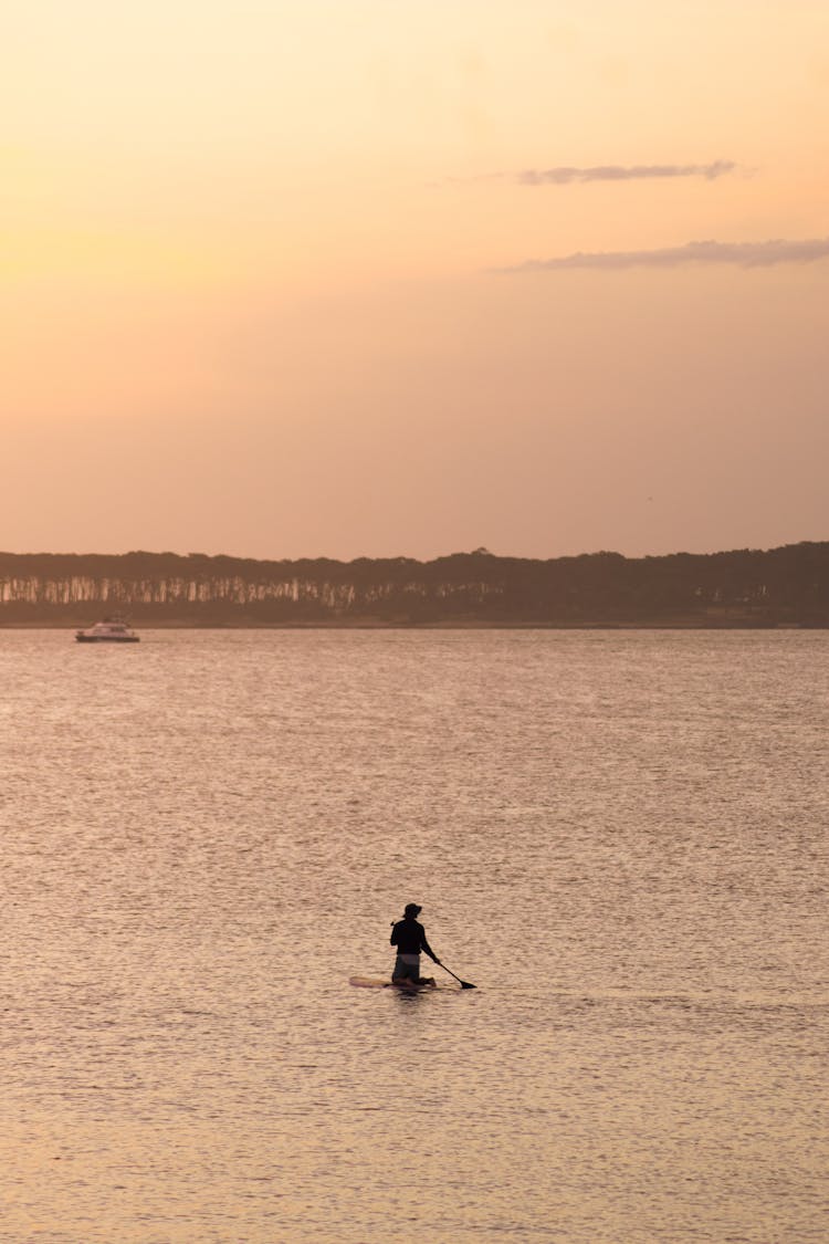 Back View Of A Person Kneeling On A Paddle Board