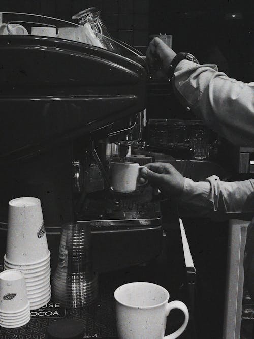 Immagine gratuita di bar caffetteria, barista, bevanda calda