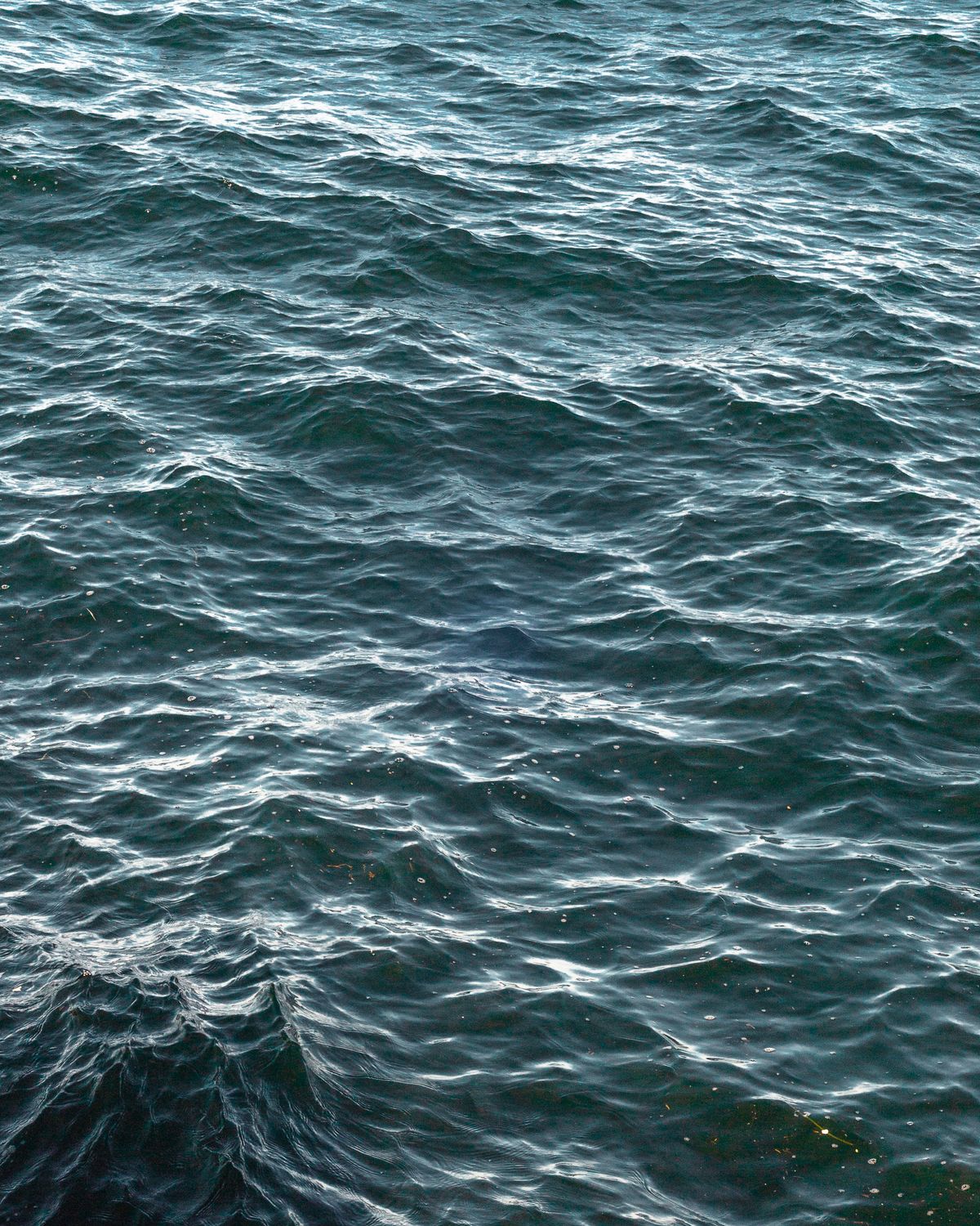 Close Up Photo of Body of Water · Free Stock Photo