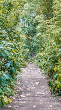 Image by Zulfiqar Al-Anbia