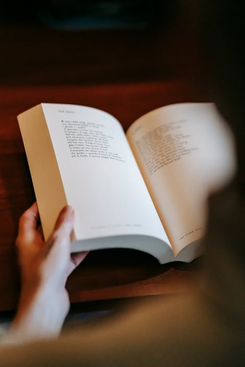 Free Person reading interesting book in hands Stock Photo