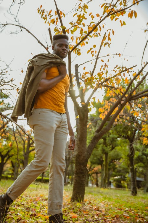 Free Confident young black man walking in park on sunny autumn day Stock Photo